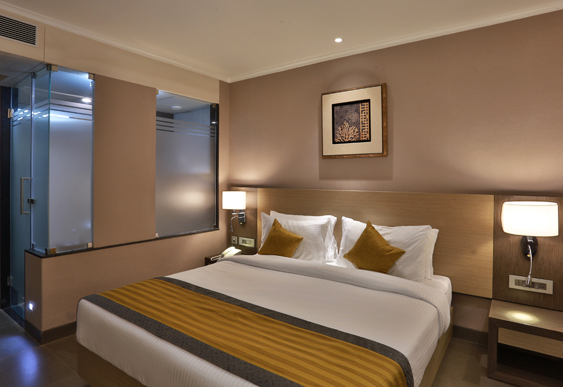 elegant deluxe rooms